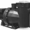 Astral Victoria Plus New Generation Swimming Pool Pump -Truma Shop Astral Victoria Pump Main 98041.1506337076