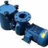 Certikin BP Commercial Swimming Pool Pump 2 Certikin BP Commercial Swimming Pool Pump -Truma Shop BP pump a 56315.1478689786