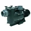 Certikin Hurricane Commercial Swimming Pool Pumps