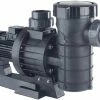 Astral Maxim Three Phase Commercial Swimming Pool Pump -Truma Shop astralmaximpump 58570.1578913940